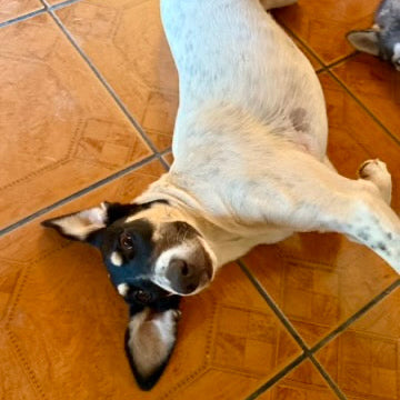 Mia