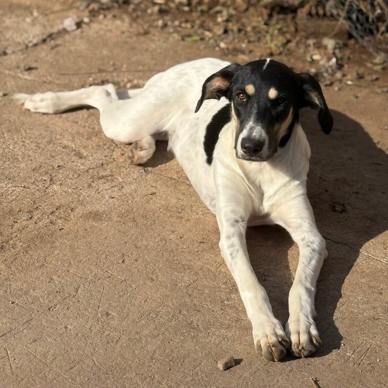 Mia