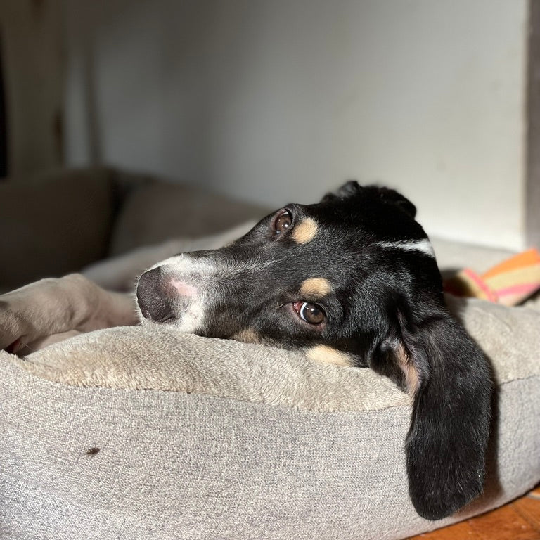 Mia