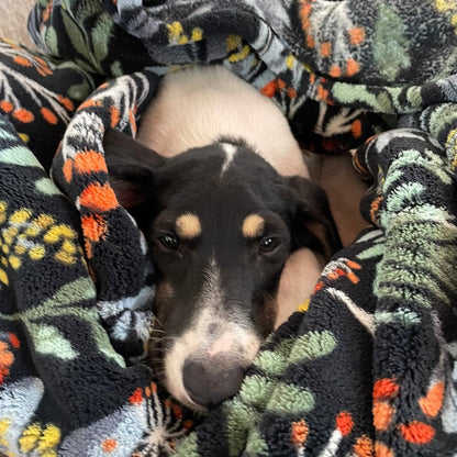 Mia