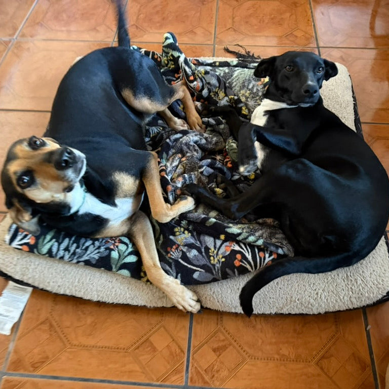 Lucía