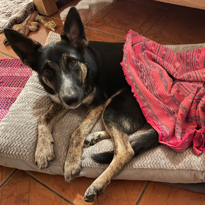 Lila