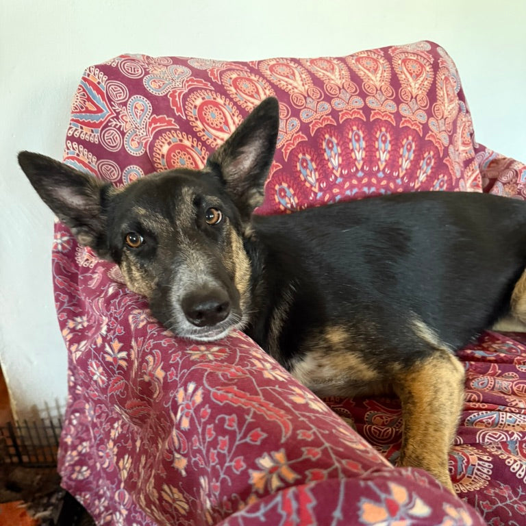 Lila