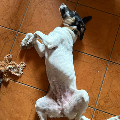Mia