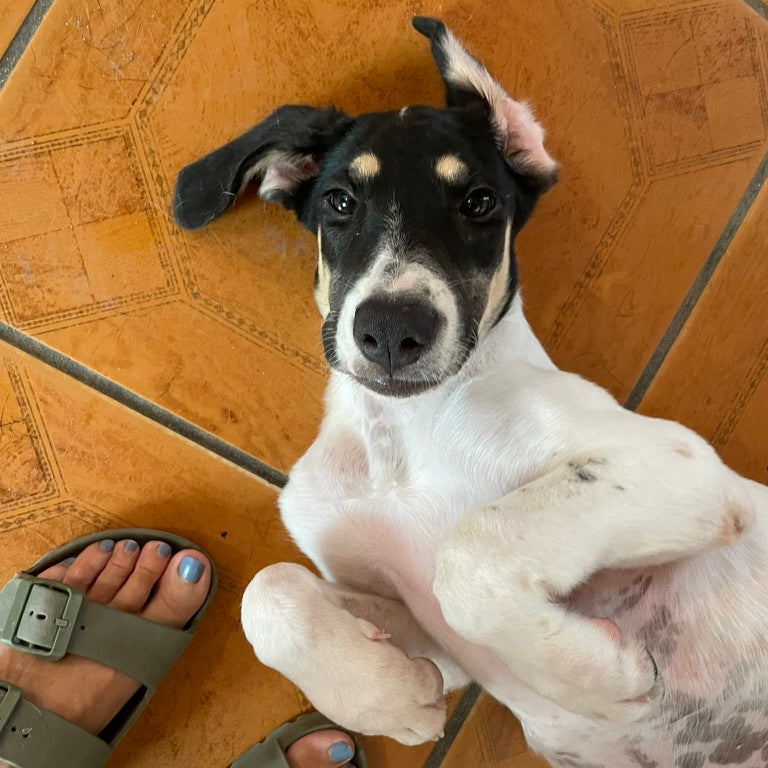 Mia