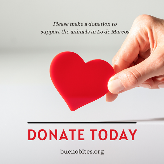 Donar a Animales de Lo de Marcos