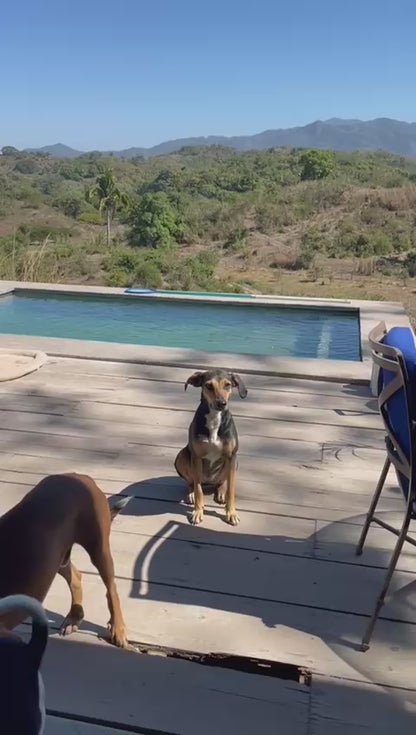 Milo 